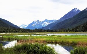 Alaska Kenai & Denali Adventure